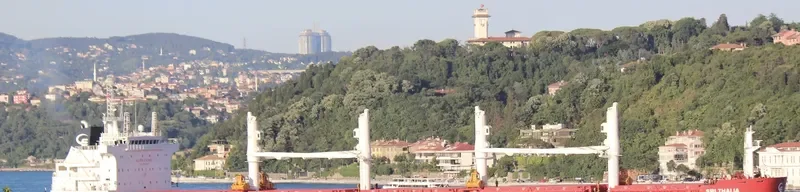 BBG LEADER Bulk Carrier IMO 9704843