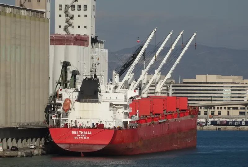 BBG LEADER Bulk Carrier IMO 9704843 photo 10