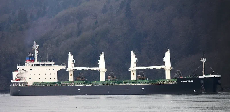 ANDROMEDA Bulk Carrier IMO 9705110 photo 2
