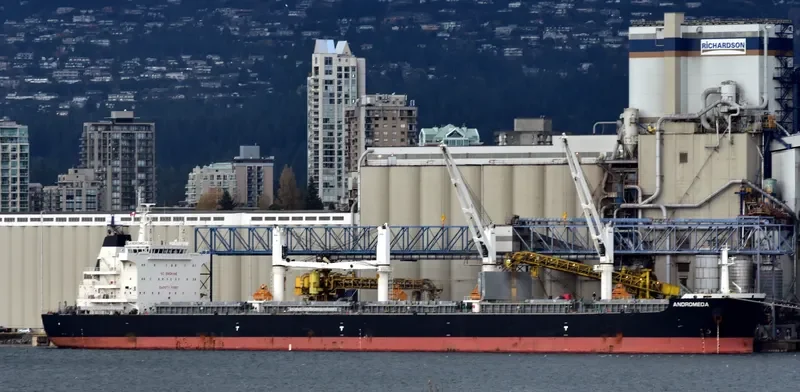 ANDROMEDA Bulk Carrier IMO 9705110 photo 5