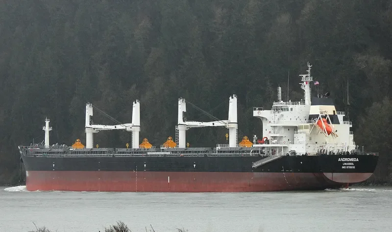 ANDROMEDA Bulk Carrier IMO 9705110 photo 10