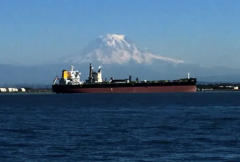 JAG AKSHAY Bulk Carrier IMO 9706554 photo 2