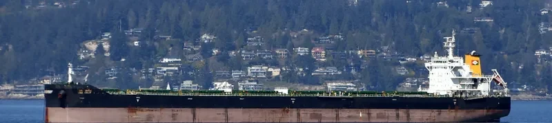 JAG AALOK Bulk Carrier IMO 9706566 photo 10
