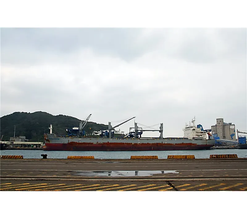 WESTERN SANTOS Bulk Carrier IMO 9707417 photo 2