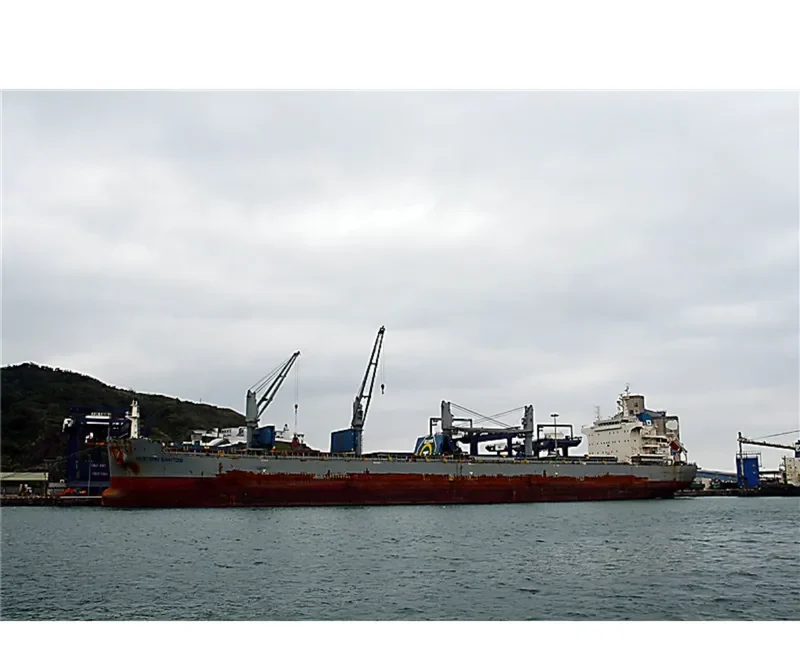WESTERN SANTOS Bulk Carrier IMO 9707417 photo 3