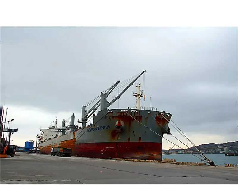 WESTERN SANTOS Bulk Carrier IMO 9707417 photo 5