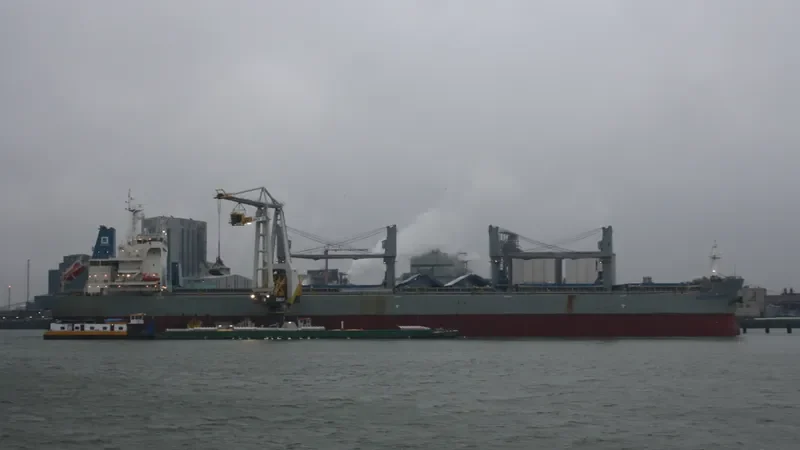 WESTERN SANTOS Bulk Carrier IMO 9707417 photo 7