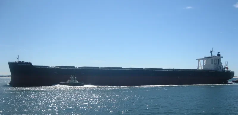 HISUI HORIZON Bulk Carrier IMO 9707546 photo 2