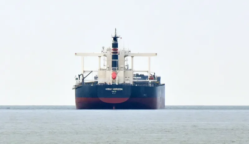 HISUI HORIZON Bulk Carrier IMO 9707546 photo 3
