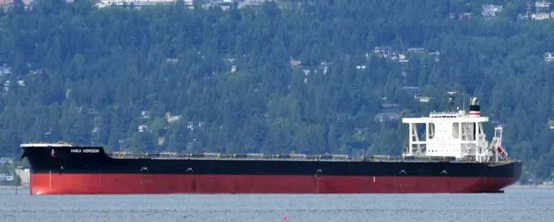 HISUI HORIZON Bulk Carrier IMO 9707546 photo 5