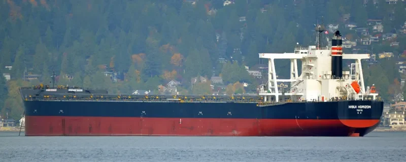 HISUI HORIZON Bulk Carrier IMO 9707546 photo 8