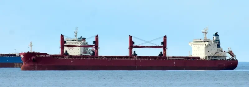 PEACEFUL SEAS Bulk Carrier IMO 9707584 photo 3