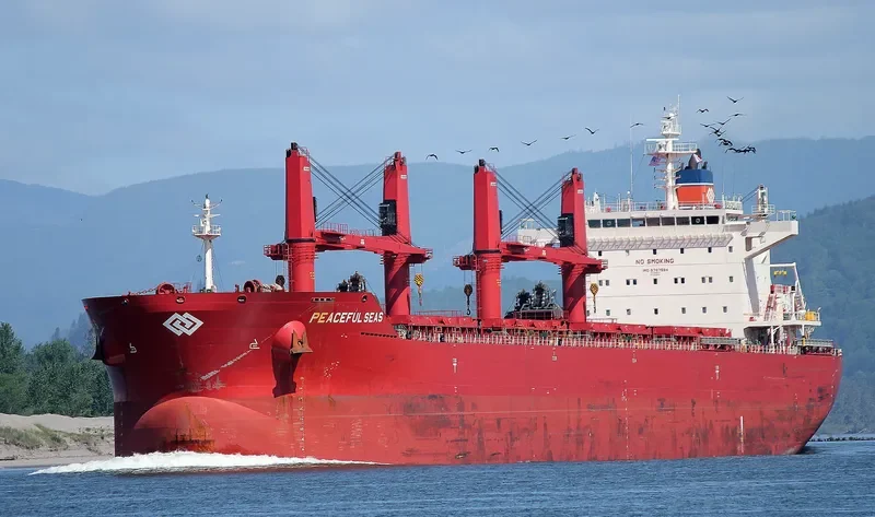 PEACEFUL SEAS Bulk Carrier IMO 9707584 photo 8