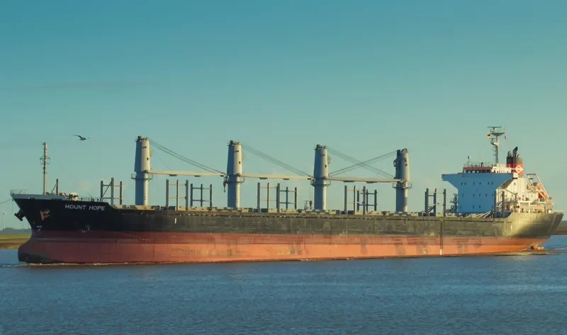STELLAR ALAZANI Bulk Carrier IMO 9708265 photo 4