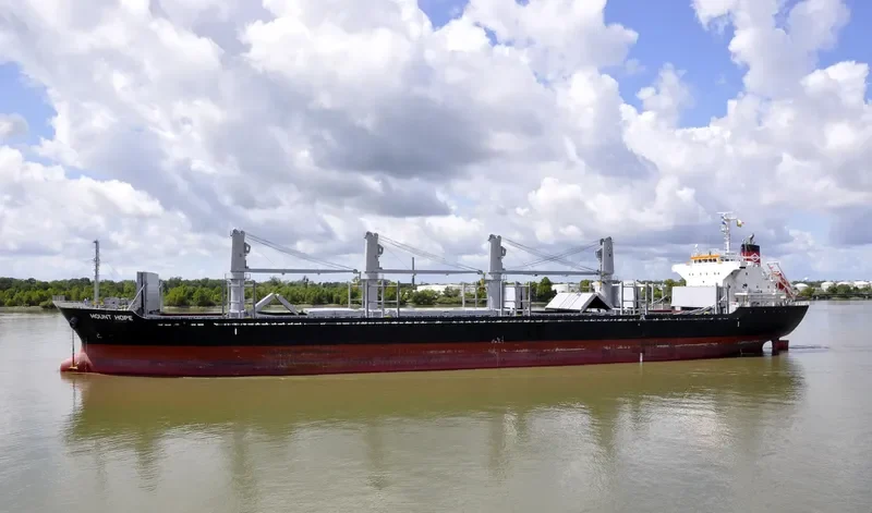 STELLAR ALAZANI Bulk Carrier IMO 9708265 photo 6