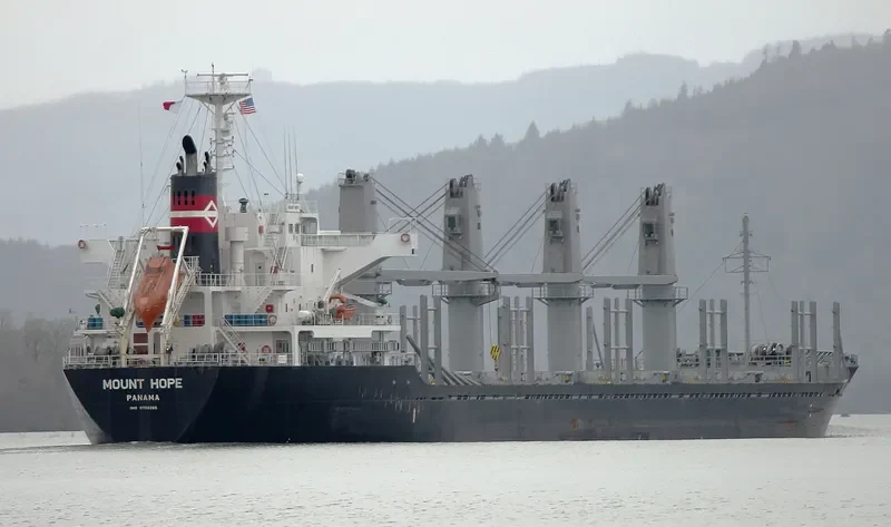 STELLAR ALAZANI Bulk Carrier IMO 9708265 photo 8