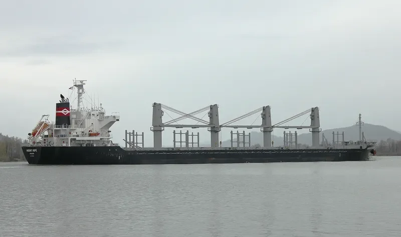 STELLAR ALAZANI Bulk Carrier IMO 9708265 photo 10