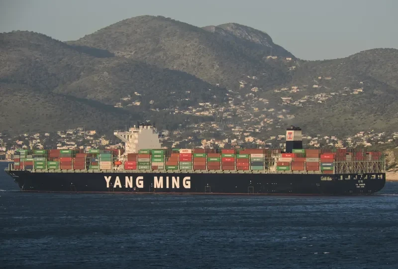 YM WINDOW Container Ship IMO 9708435 photo 3