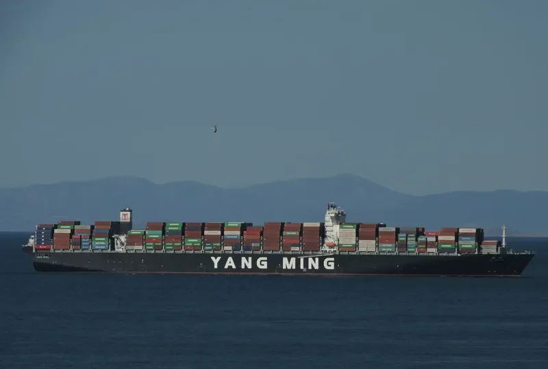YM WINDOW Container Ship IMO 9708435 photo 8