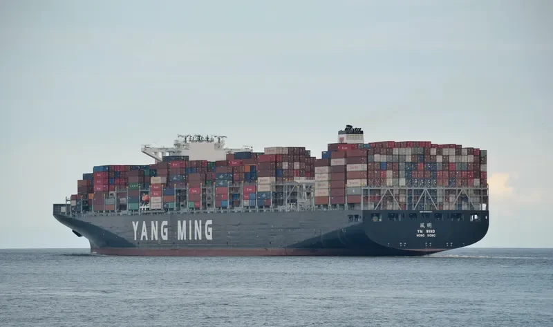 YM WIND Container Ship IMO 9708461 photo 3
