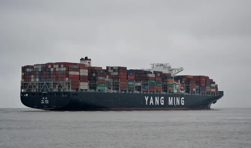 YM WIND Container Ship IMO 9708461 photo 5
