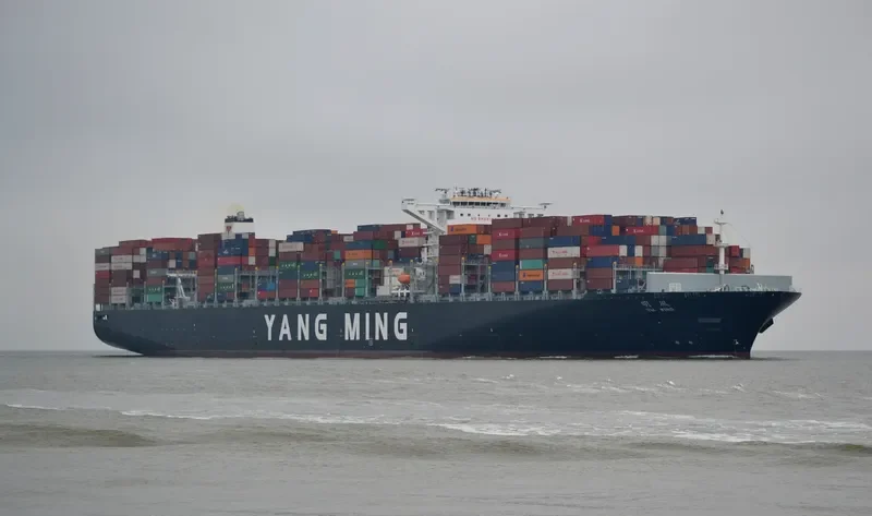 YM WIND Container Ship IMO 9708461 photo 6
