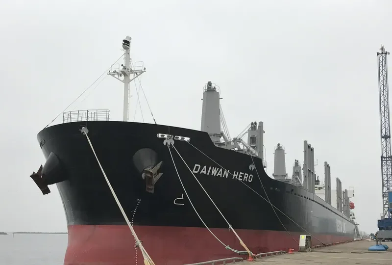 DAIWAN HERO Bulk Carrier IMO 9709336 photo 6