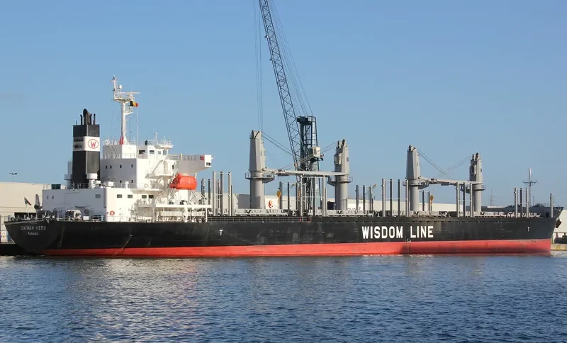 DAIWAN HERO Bulk Carrier IMO 9709336 photo 8