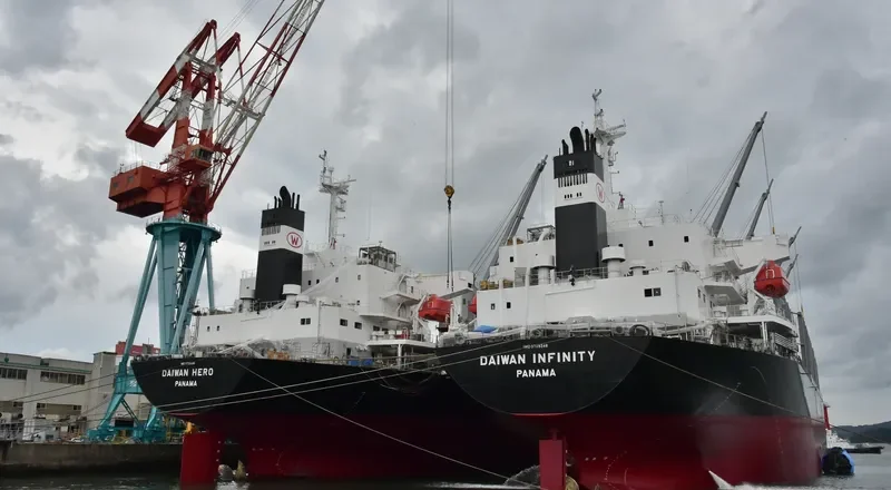 DAIWAN INFINITY Bulk Carrier IMO 9709348