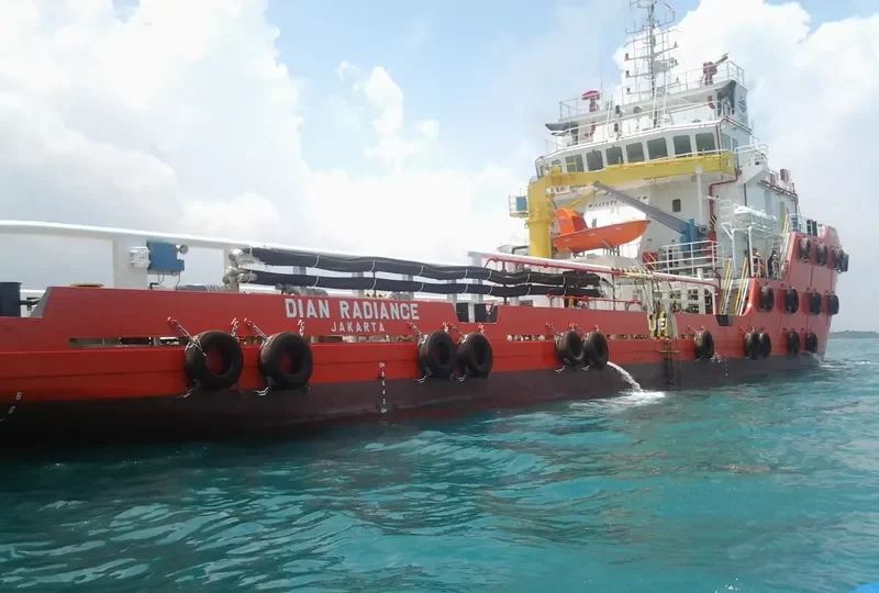 DIAN RADIANCE General Cargo IMO 9709673 photo 2