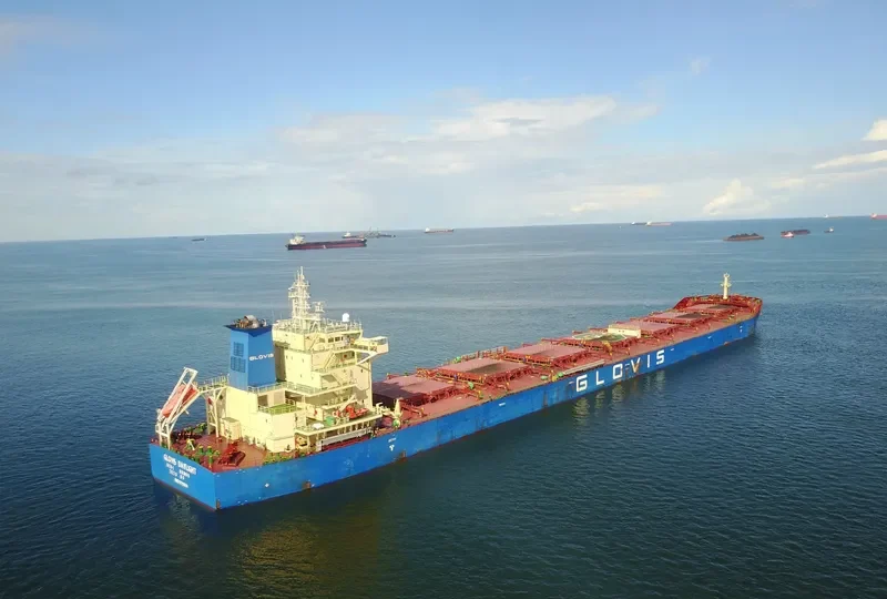 GLOVIS DAYLIGHT Bulk Carrier IMO 9710658 photo 3