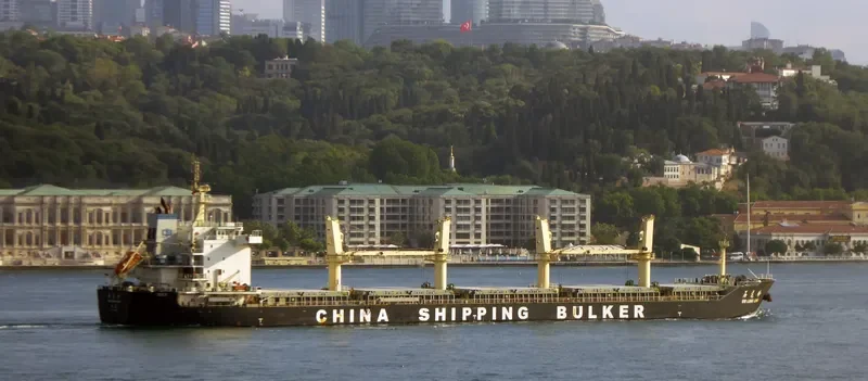 SHI LONG LING Bulk Carrier IMO 9712060 photo 9