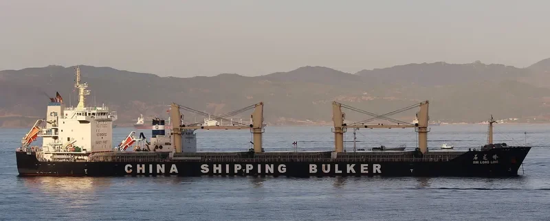 SHI LONG LING Bulk Carrier IMO 9712060 photo 10
