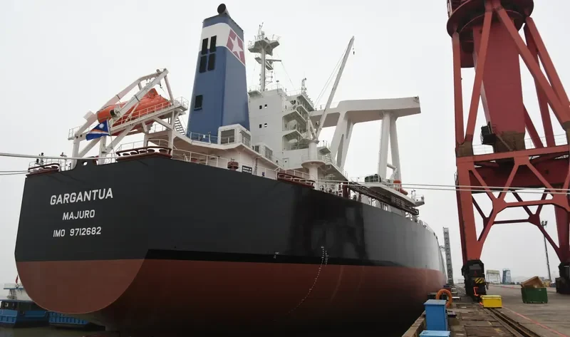 GARGANTUA Bulk Carrier IMO 9712682