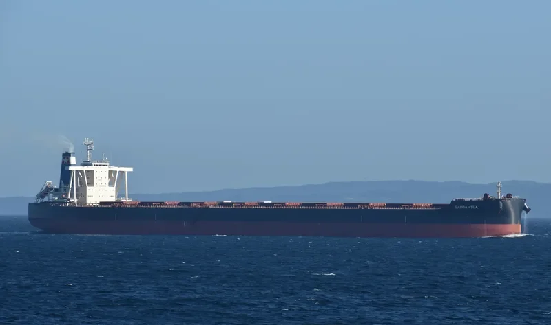GARGANTUA Bulk Carrier IMO 9712682 photo 2