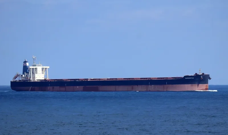 GARGANTUA Bulk Carrier IMO 9712682 photo 6