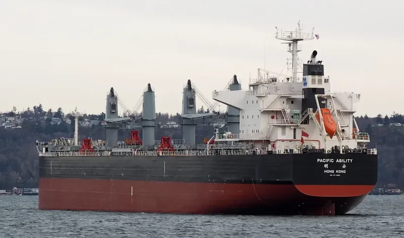 PACIFIC ABILITY Bulk Carrier IMO 9712890 photo 2