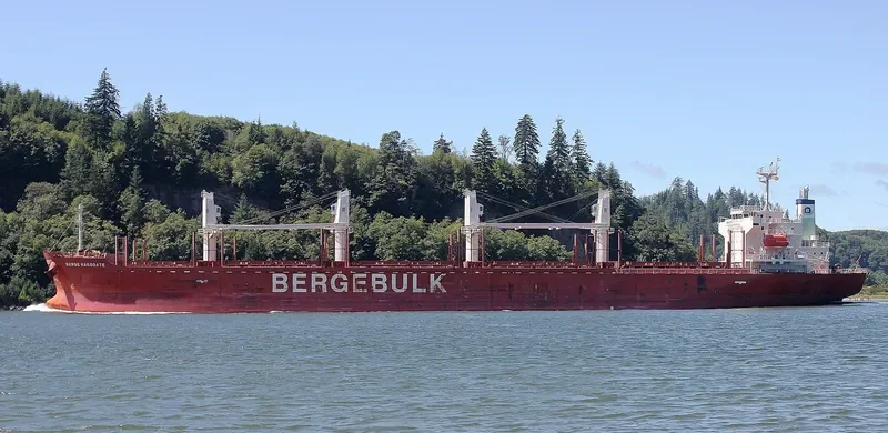 BERGE HAKODATE Bulk Carrier IMO 9713167 photo 3