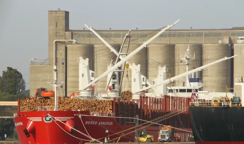 BERGE ANNUPURI Bulk Carrier IMO 9713193 photo 5