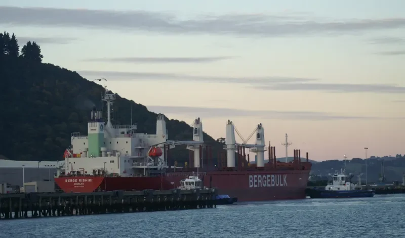 BERGE RISHIRI Bulk Carrier IMO 9713222 photo 5