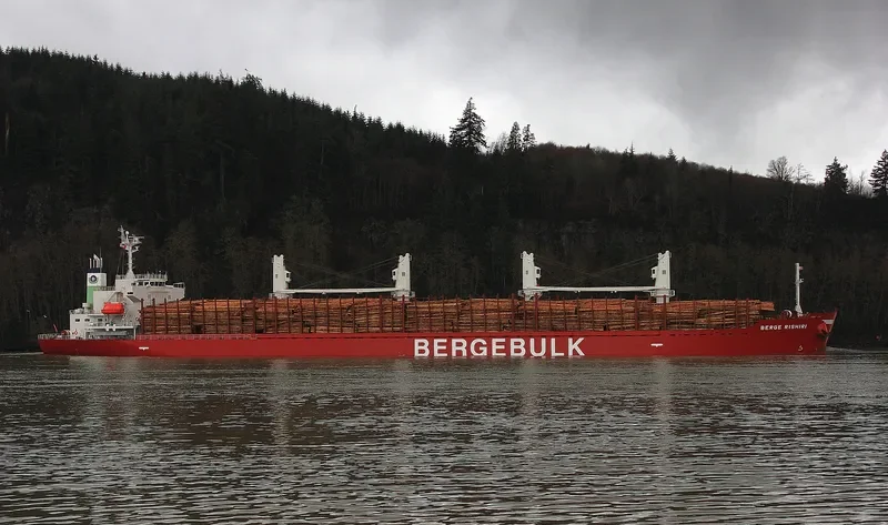 BERGE RISHIRI Bulk Carrier IMO 9713222 photo 8