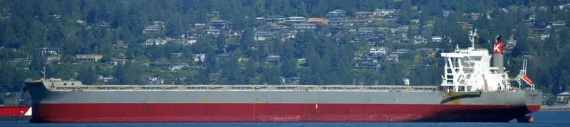 CAPE HARVEST Bulk Carrier IMO 9713442 photo 2