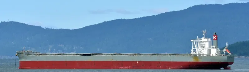 CAPE HARVEST Bulk Carrier IMO 9713442 photo 4