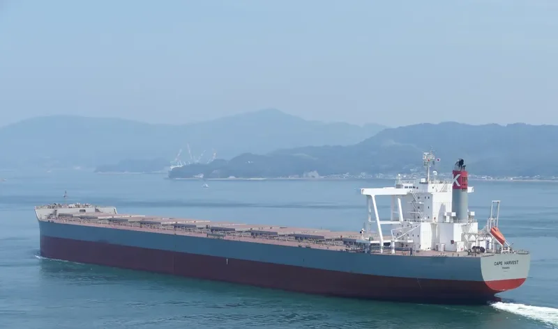 CAPE HARVEST Bulk Carrier IMO 9713442 photo 7