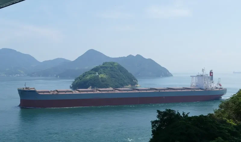CAPE HARVEST Bulk Carrier IMO 9713442 photo 9