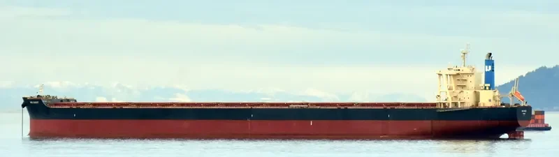 NSU QUEST Bulk Carrier IMO 9713454 photo 7