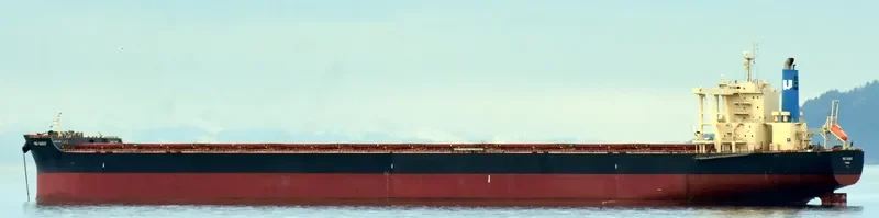 NSU QUEST Bulk Carrier IMO 9713454 photo 8