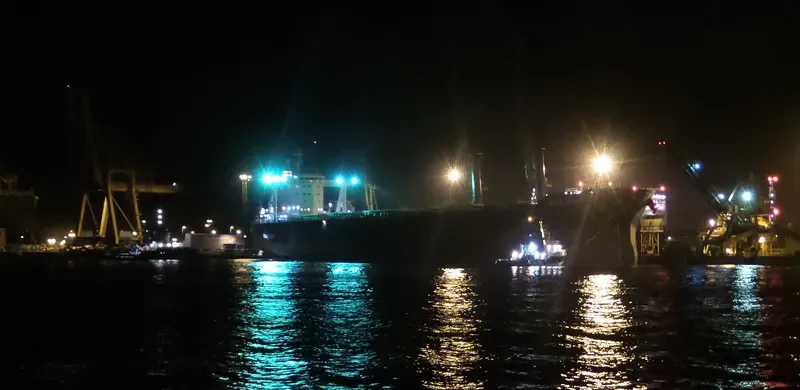 NORD DRACO Bulk Carrier IMO 9713911 photo 8