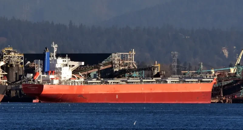 CATHARINA OLDENDORFF Bulk Carrier IMO 9713923