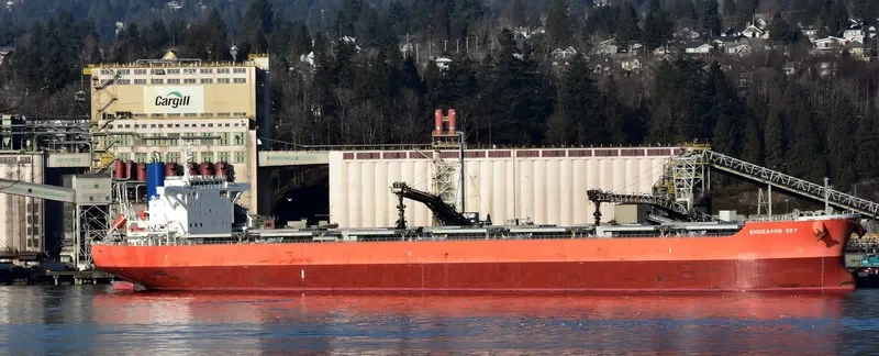 CATHARINA OLDENDORFF Bulk Carrier IMO 9713923 photo 2